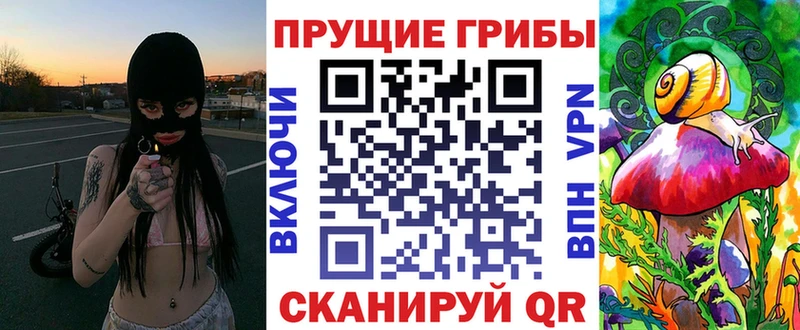 Купить где  Клин  Галлюциногенные грибы Psilocybe 