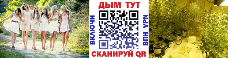 Бошки марихуана планчик  Купить где  Клин 